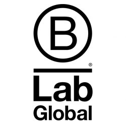B Lab Global logo