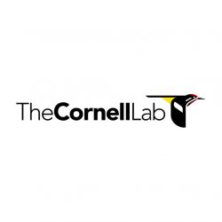 Cornell University - Lab of Ornithology logo