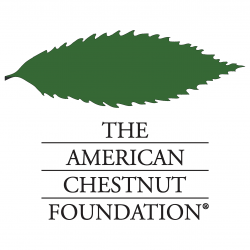 The American Chestnut Foundation logo