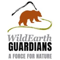 WildEarth Guardians logo