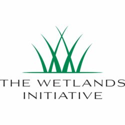 The Wetlands Initiative logo