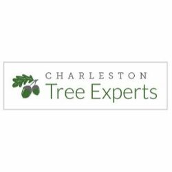 Charleston Tree Experts logo