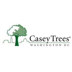 Casey Trees