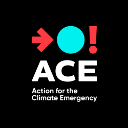 ACE Action Team Brand Assets