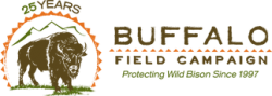 bfc-logo-website-25-years
