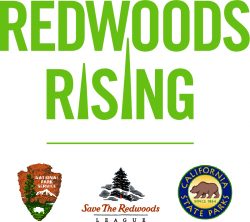 RedwoodsRisingPartnerLockup