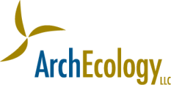 ArchEcologyLogo