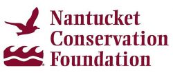 NCF Logo resize