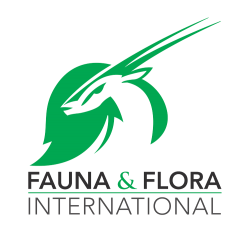ffi square logo